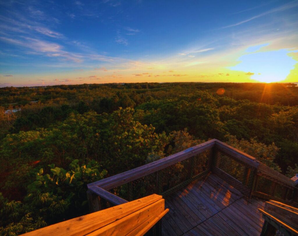 Emerson Point Park, Palmetto, FL