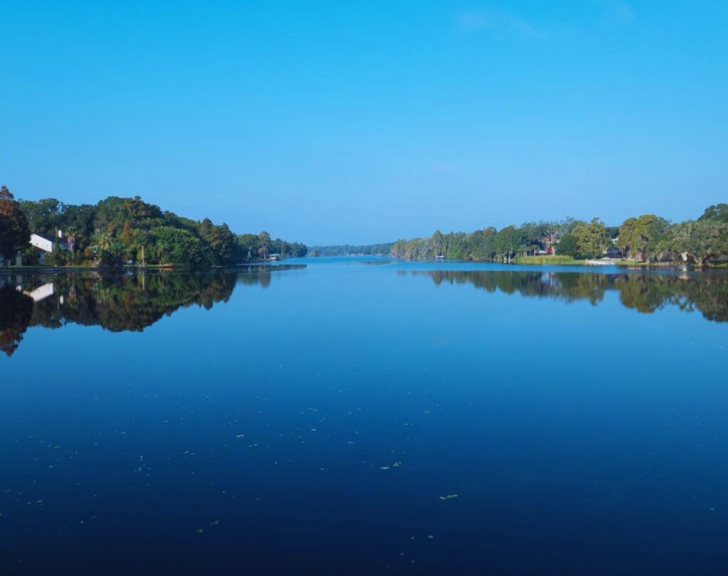 The landscape View, Temple Terrace, FL